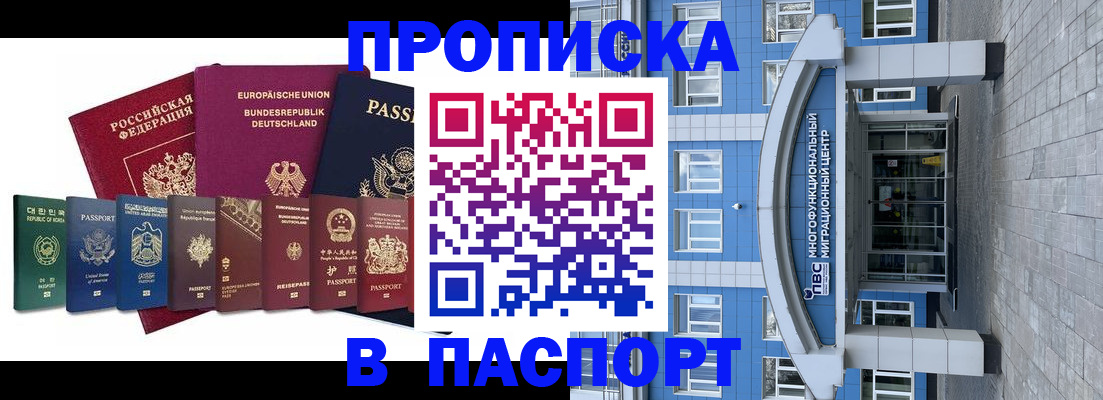 прописка штамп в Щёлково
