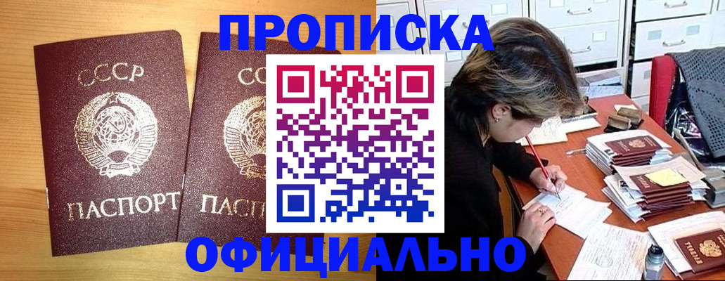 прописка для военкомата в Щёлково